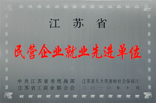 上上集團(tuán)再次被評(píng)為江蘇省“民營企業(yè)就業(yè)先進(jìn)單位”與“民營企業(yè)納稅大戶”