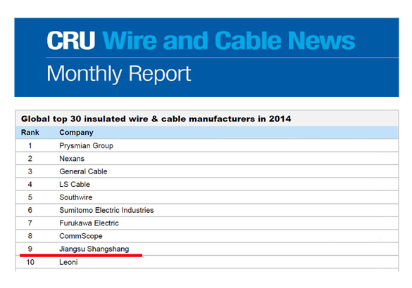上上電纜再次進(jìn)入全球絕緣線纜制造商前十